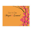 Bella Save the Date (tangerine/hot pink/black) postcards