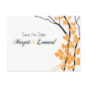 Bella Save the Date (white/tangerine/black) postcards
