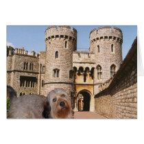 Bella - sporting a crown - Visits Windsor Castle Greeting Card