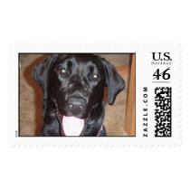 Bella Stamp by sjulrey Bella Stamp