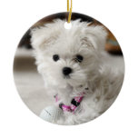 Bella The Beautiful Christmas Ornament