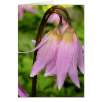 Belladonna Blossoms in Pale Purple Greeting Card