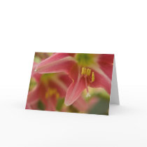 Belladonna Lily • Greeting Card
