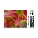 Belladonna Lily Stamp