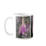 BellaDonna mugs