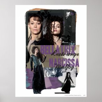 Bellatrix Lestrange and Narcissa Malfoy print