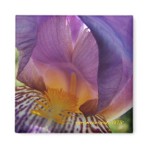 belle deviation refrigerator magnets
