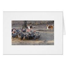 Belle & Laddie Working A Flock Greeting Card