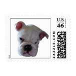 Belle the Bulldog Postage Stamps