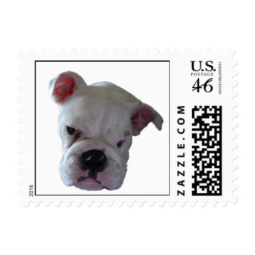 British Bulldog