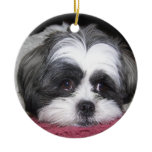 Belle The Shih Tzu Dog ornaments