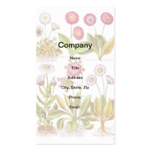 Belles in Pink Business Cards
