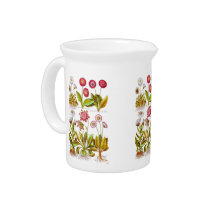 Belles in Pink Drink Pitcher