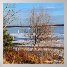 Belleza del invierno impresiones