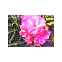 Belleza rosada brillante impresion de lienzo