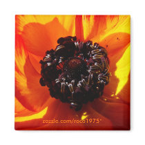 bellezza nelle ombre magnet