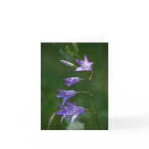 Bellflower Note Card by SabineSt Bellflower Note Card