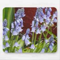 Bellflowers in Front of a Red Wall Mouse Pad