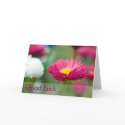 Bellis Perennis • Good Luck Card by SabineStGreetings Bellis Perennis • Good Luck Card