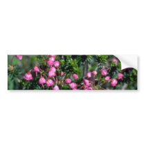 Bells And Spines Bumper Stickers