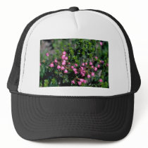 Bells And Spines Mesh Hats