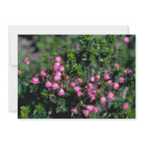 Bells And Spines Personalized Invites
