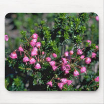Bells And Spines Mousepad