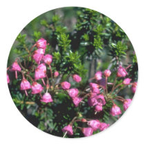 Bells And Spines Round Stickers