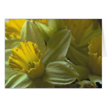 Bells On The Leaf Blades Card