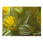 Bells On The Leaf Blades Post Card