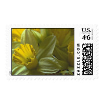 Bells On The Leaf Blades Postage Stamp