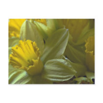 Bells On The Leaf Blades Post Card
