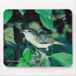 Bell's Vireo Mousepad