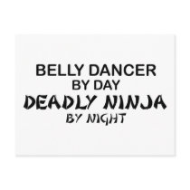Belly Dancer Deadly Ninja by Night Post Cards