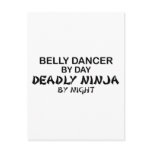 Belly Dancer Deadly Ninja by Night Postcard