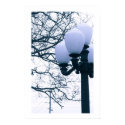 Belmont Lamppost posters