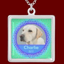 Beloved Pet Memorial Necklace necklaces