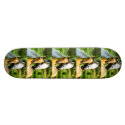 Beloved skateboards