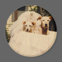 Beloved Terriers in Basinette magnets