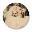 Beloved Terriers in Basinette magnets
