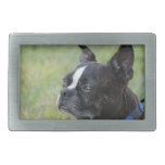 belt buckle - Customized