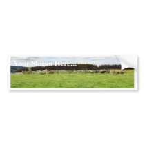 Beltany Stone Circle bumper stickers by lifesphere Beltany Stone Circle bumper stickers