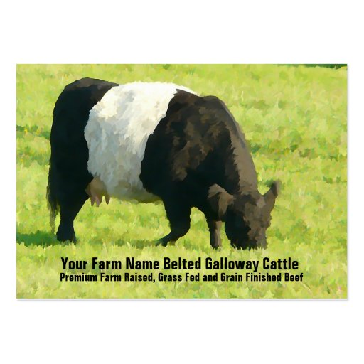 Belted Galloway Cattle Farm or Ranch Supply Business Card