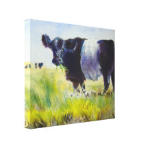 Belted Galloway Cow Painting Canvas Print