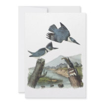 Belted Kingfisher, John Audubon Custom Announcements