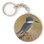 Belted Kingfisher Keychains