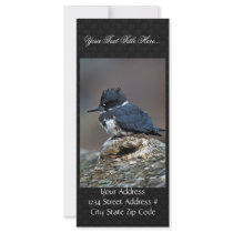 Belted Kingfisher Customized Rack Card