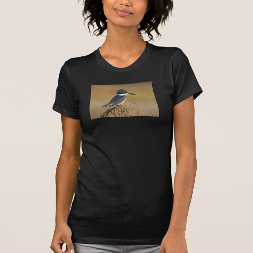Belted KIngfisher Shirts