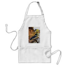 Belted Kingfishers and Their Nest Tunnel Apron