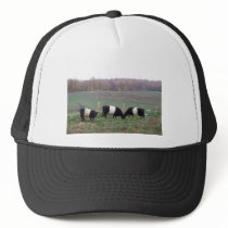 Beltie Cow Herd in Fall Trucker Hats
